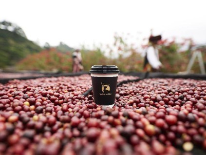 禁止危地马拉咖啡进口 巴西与瑞幸签备忘录促5亿美元订单