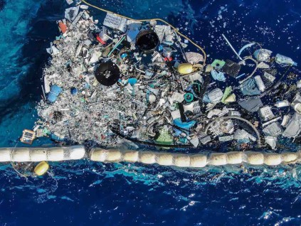 研究发现：一种海洋真菌可消化塑料垃圾 实现地球自愈