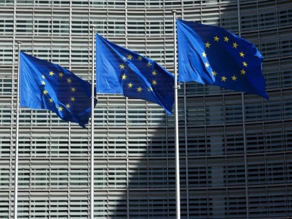 旺报社评：欧盟短视近利保护主义之路 并非明智之举