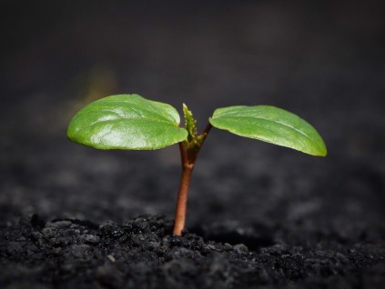 「智慧土壤」让产量增加138%！竟会自动灌溉和施肥